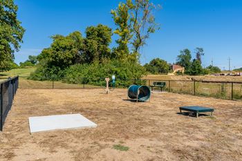 On-Premise Dog Park